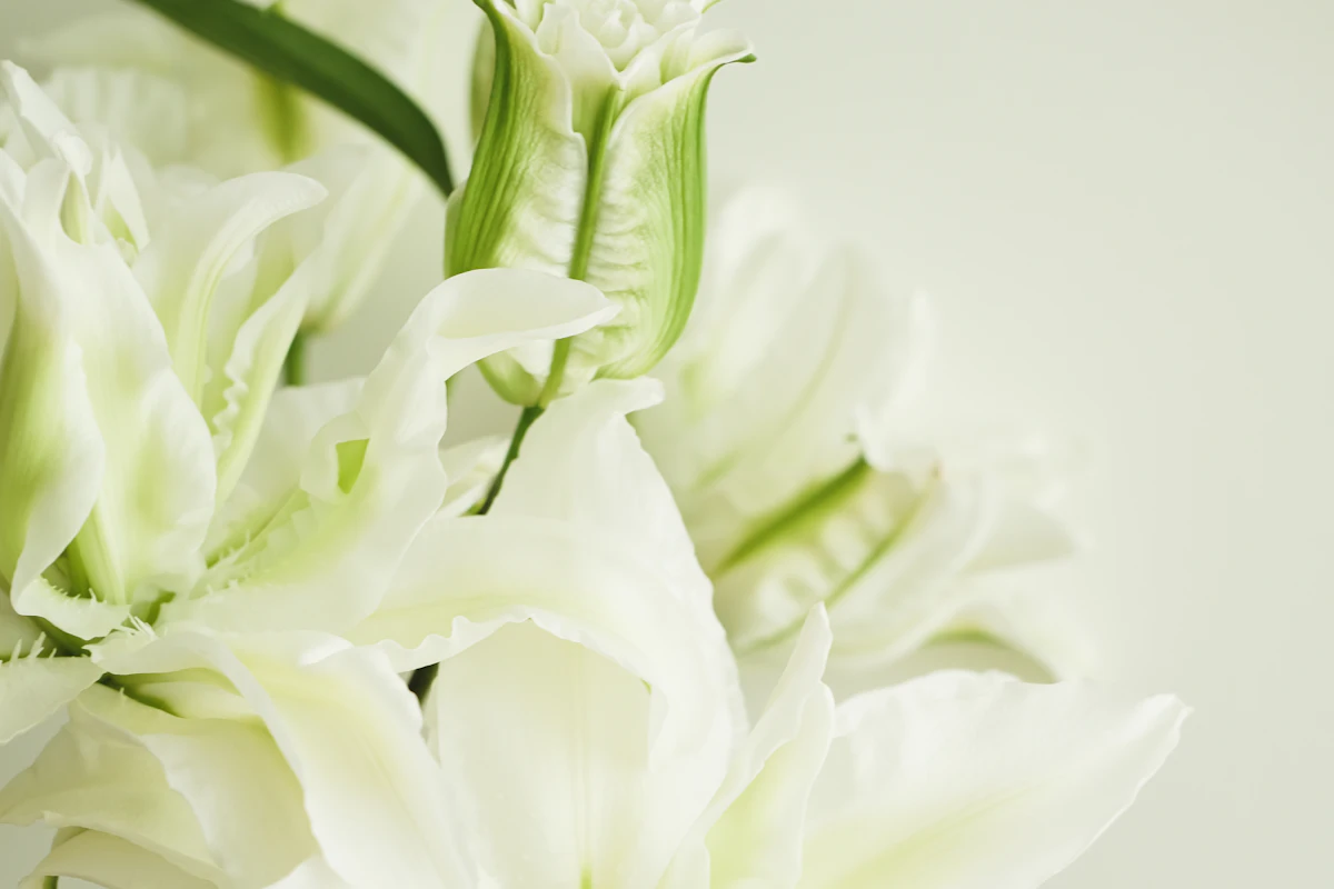 Witte lelies op een tafel in een rustig ingerichte zaal